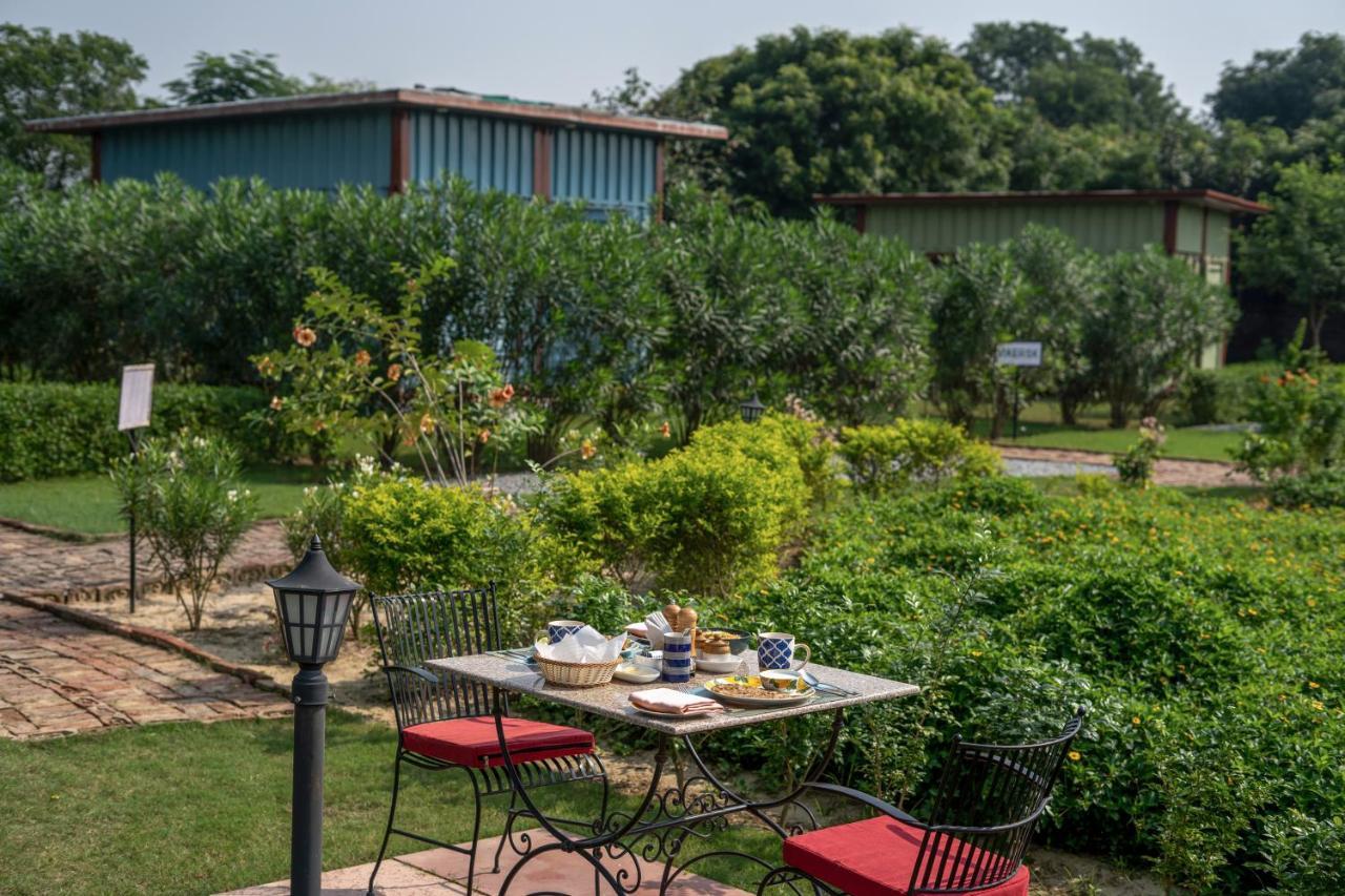 ホテル Tree Of Life Ecotainers Agra アーグラ エクステリア 写真